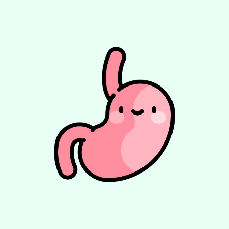 Picture for category DIGESTIVE HEALTH